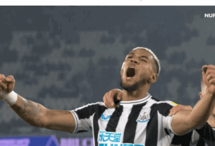 Jogadores brasileiros do Newcastle
