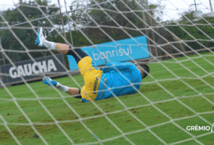 os melhores goleiros do brasileirão